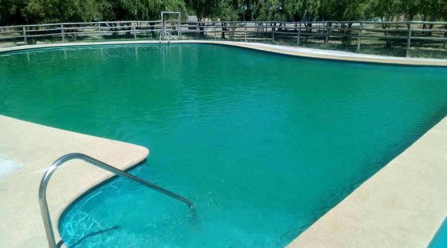 Una de nuestras piscinas, la más solicitada por los huéspedes por su tamaño, amplitud y ubicació