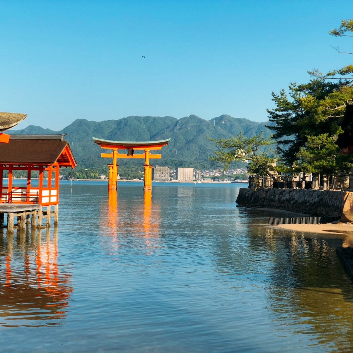 Kuil Shinto Itsukushima Hatsukaichi Jepang Review Tripadvisor