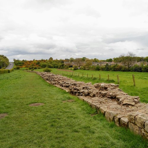 Hadrian's Wall 纽卡斯尔   旅游景点点评  Tripadvisor