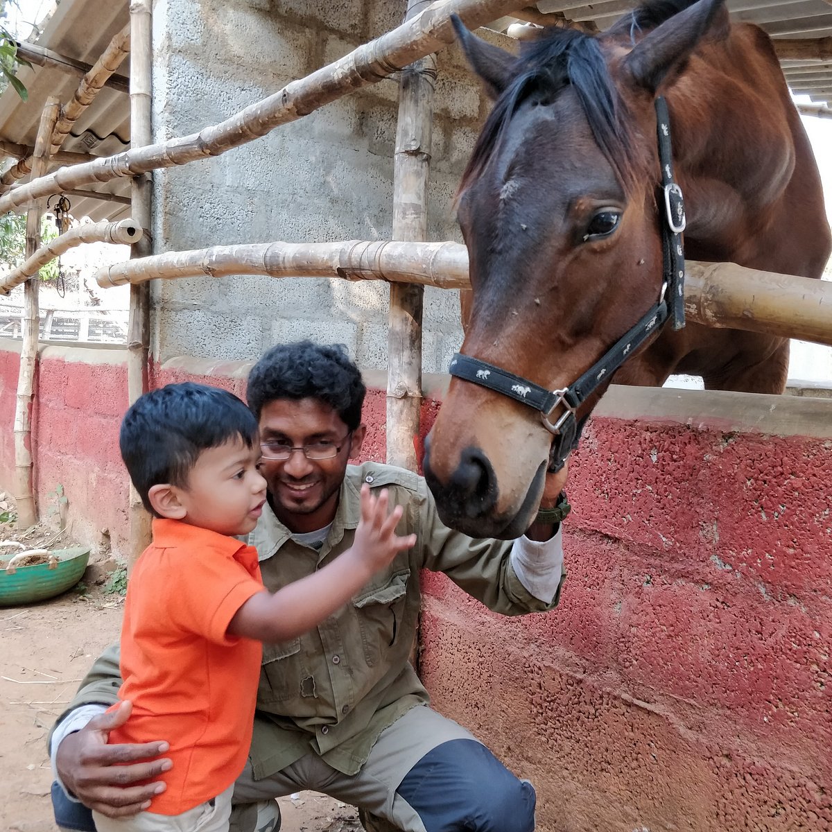 Prani, The Pet Sanctuary (Bengaluru) - All You Need to Know BEFORE You Go
