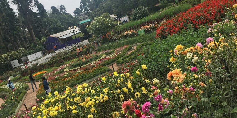 Kodaikanal Tourism (2024): Best of Kodaikanal, India - Tripadvisor