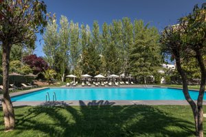 Pool & Beach