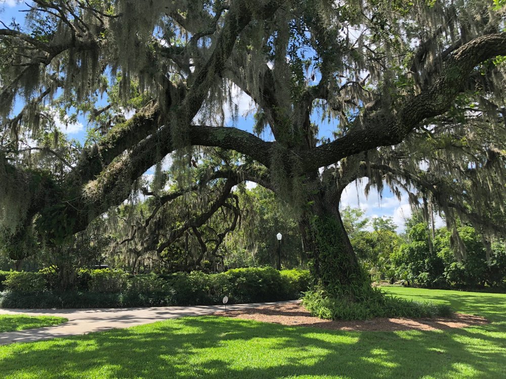 THE 10 BEST Parks & Nature Attractions in Orlando (Updated 2024)