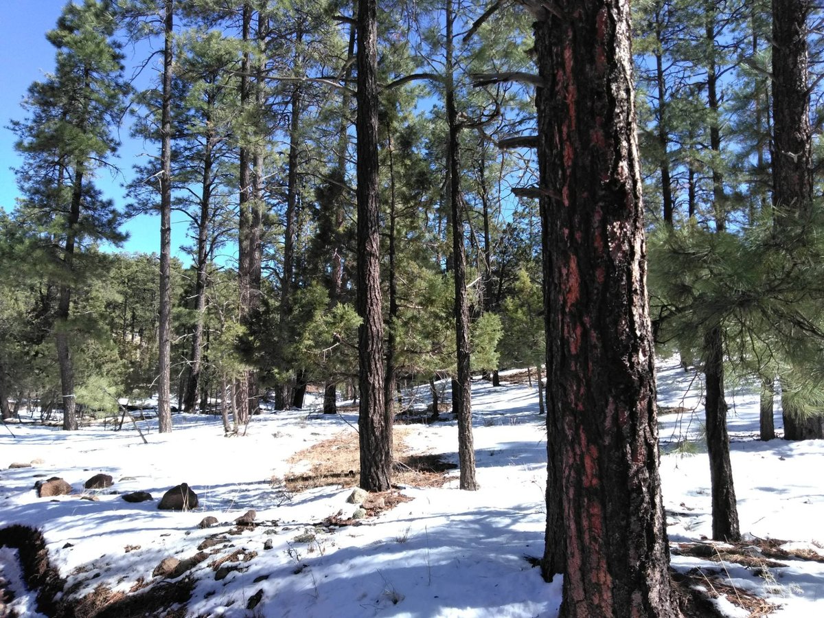 THE 15 BEST Things to Do in Clarkdale - 2022 (with Photos) - Tripadvisor