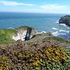 Things To Do in FLamborough Outer Headland, Restaurants in FLamborough Outer Headland