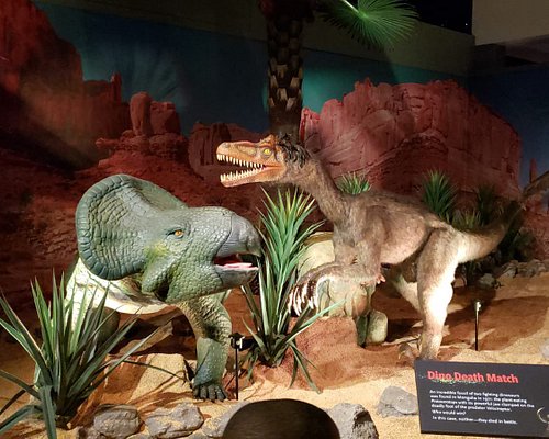 THE BEST Orlando Natural History Museums (with Photos)