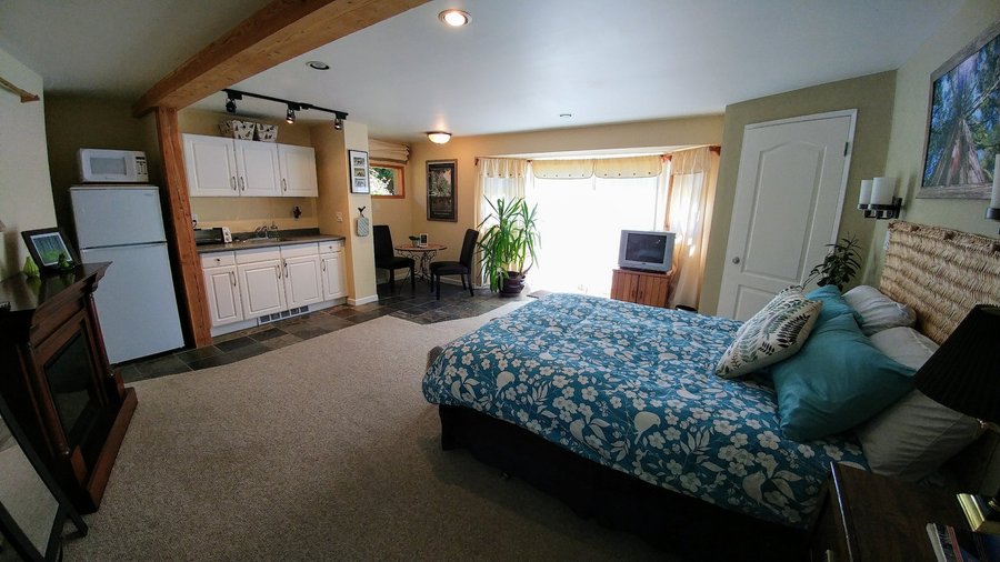 Forest Suite with private bathroom and kitchenette.