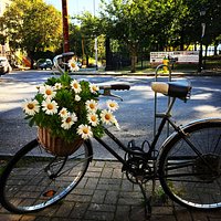 Our infamous vintage Schwinn bicycle sits outside every day, filled with seasonal flowers