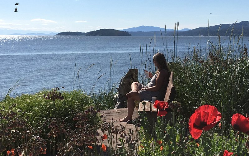 THE 15 BEST Things to Do in Sechelt - UPDATED 2021 - Must See ...