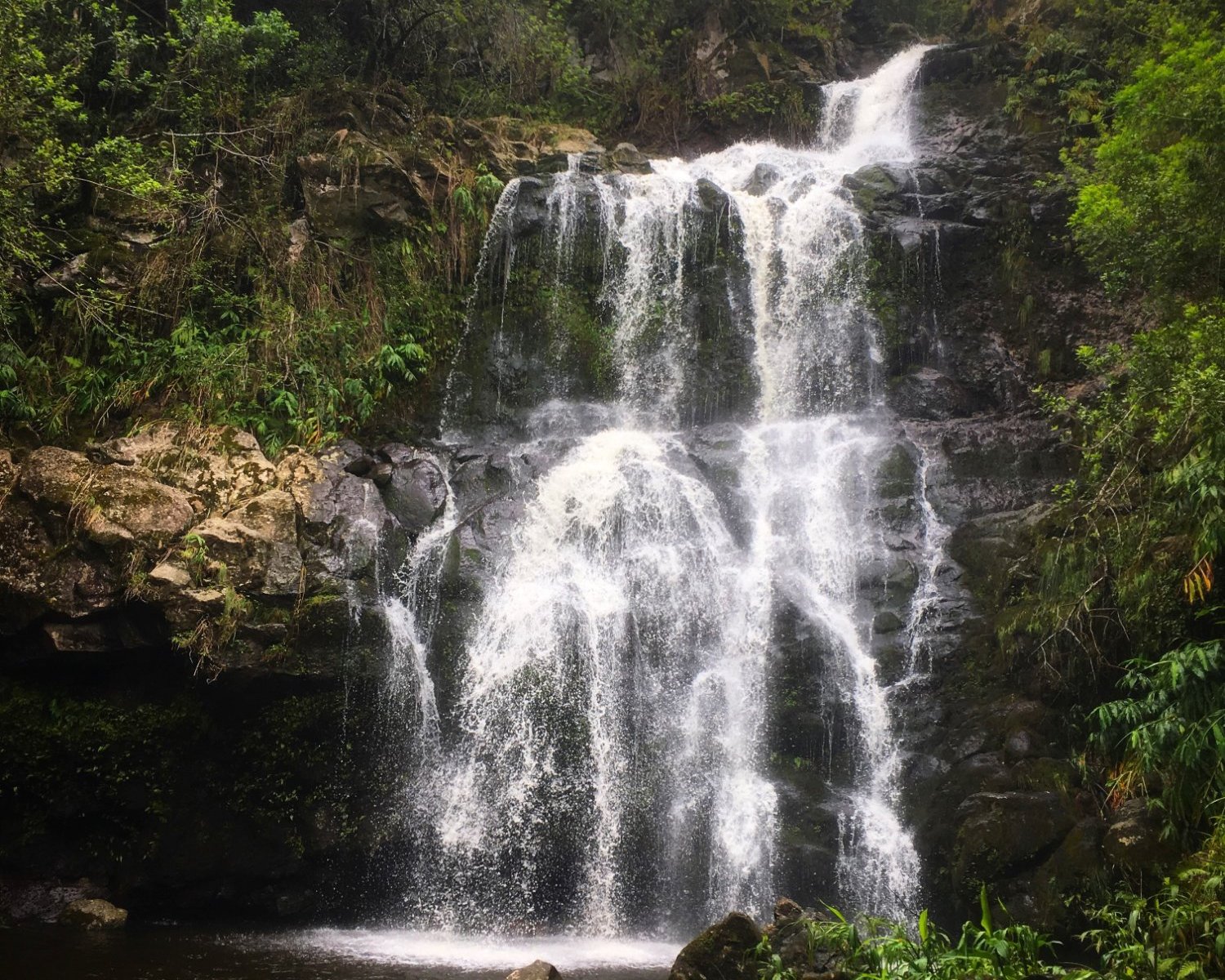 Kohala Waterfalls Adventure - All You Need to Know BEFORE You Go (2024)