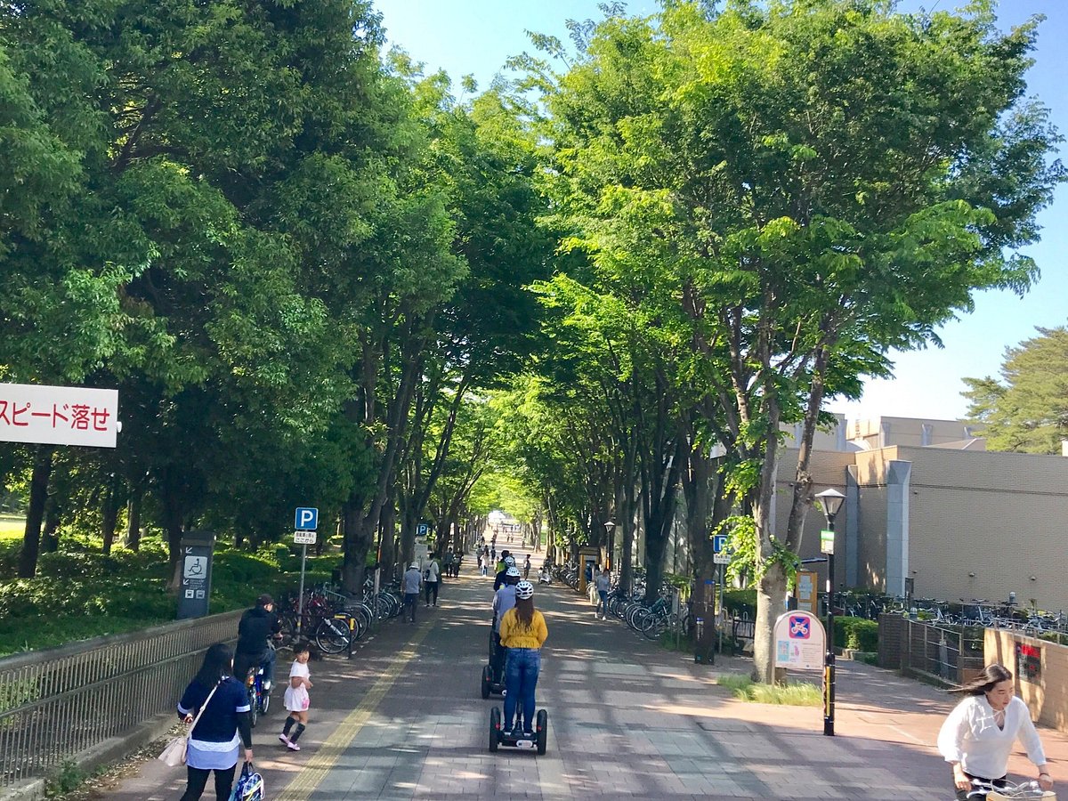 Segway City Guide Tour in Tsukuba (Japan): Hours, Address - Tripadvisor