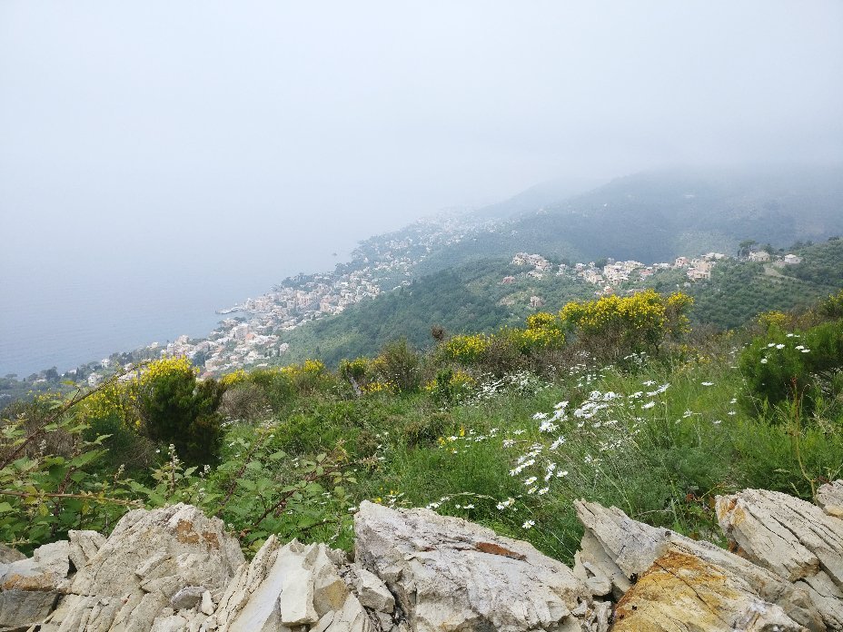 Pieve Ligure, Italy 2023: Best Places To Visit - Tripadvisor