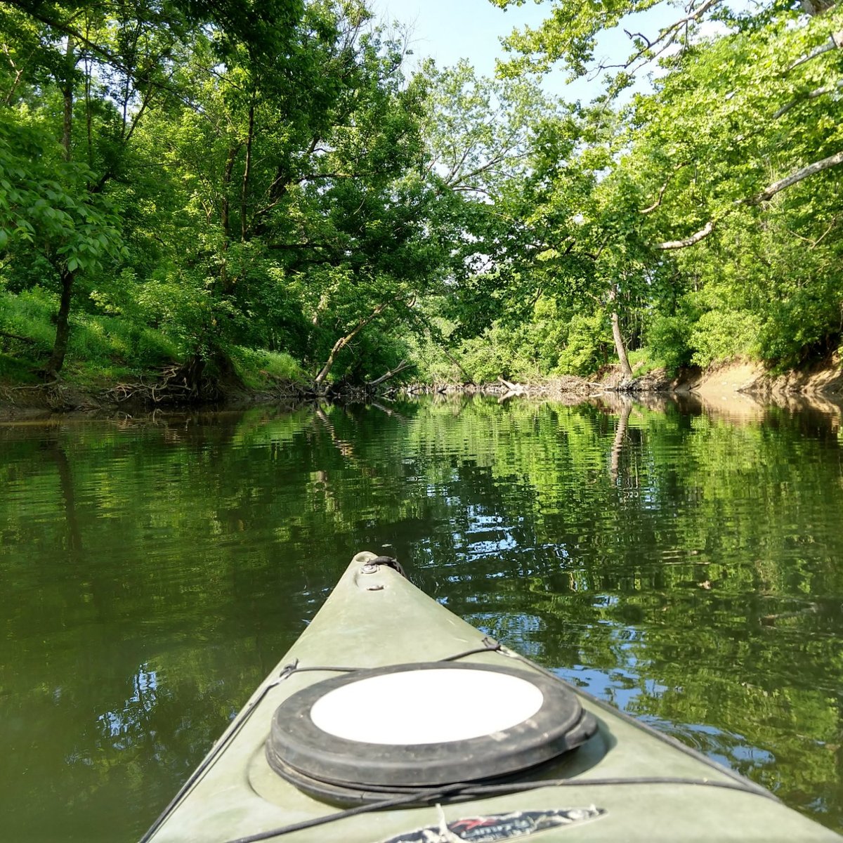 Blue Moon Canoe And Kayak - All You Need To Know Before You Go (2024)