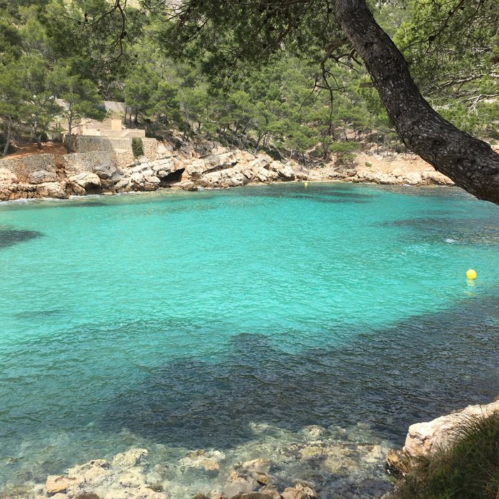 Imagen 9 de Cala Murta