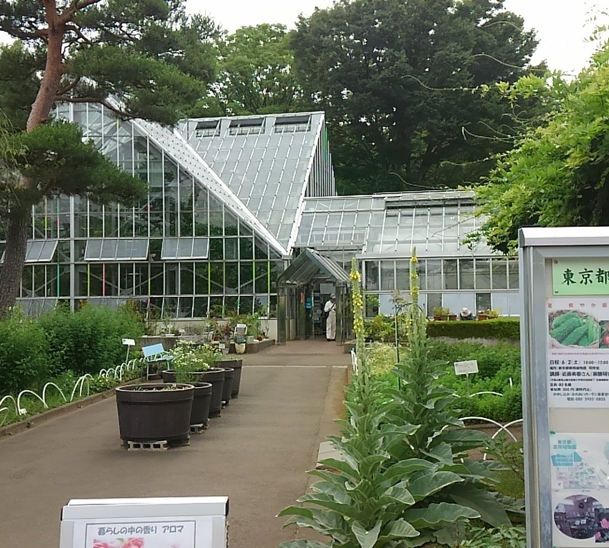 21年 東京都薬用植物園 行く前に 見どころをチェック トリップアドバイザー