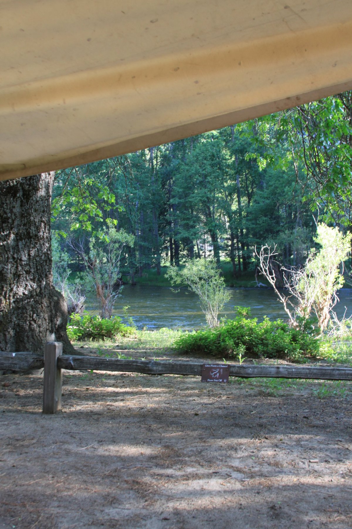 HOUSEKEEPING CAMP IN YOSEMITE - Updated 2024 Campground Reviews ...