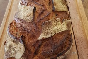 Comida