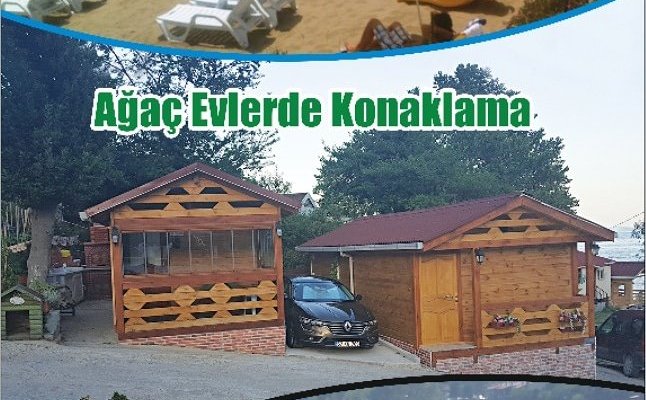 Ağaç evler
