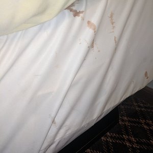 Bloody Bed