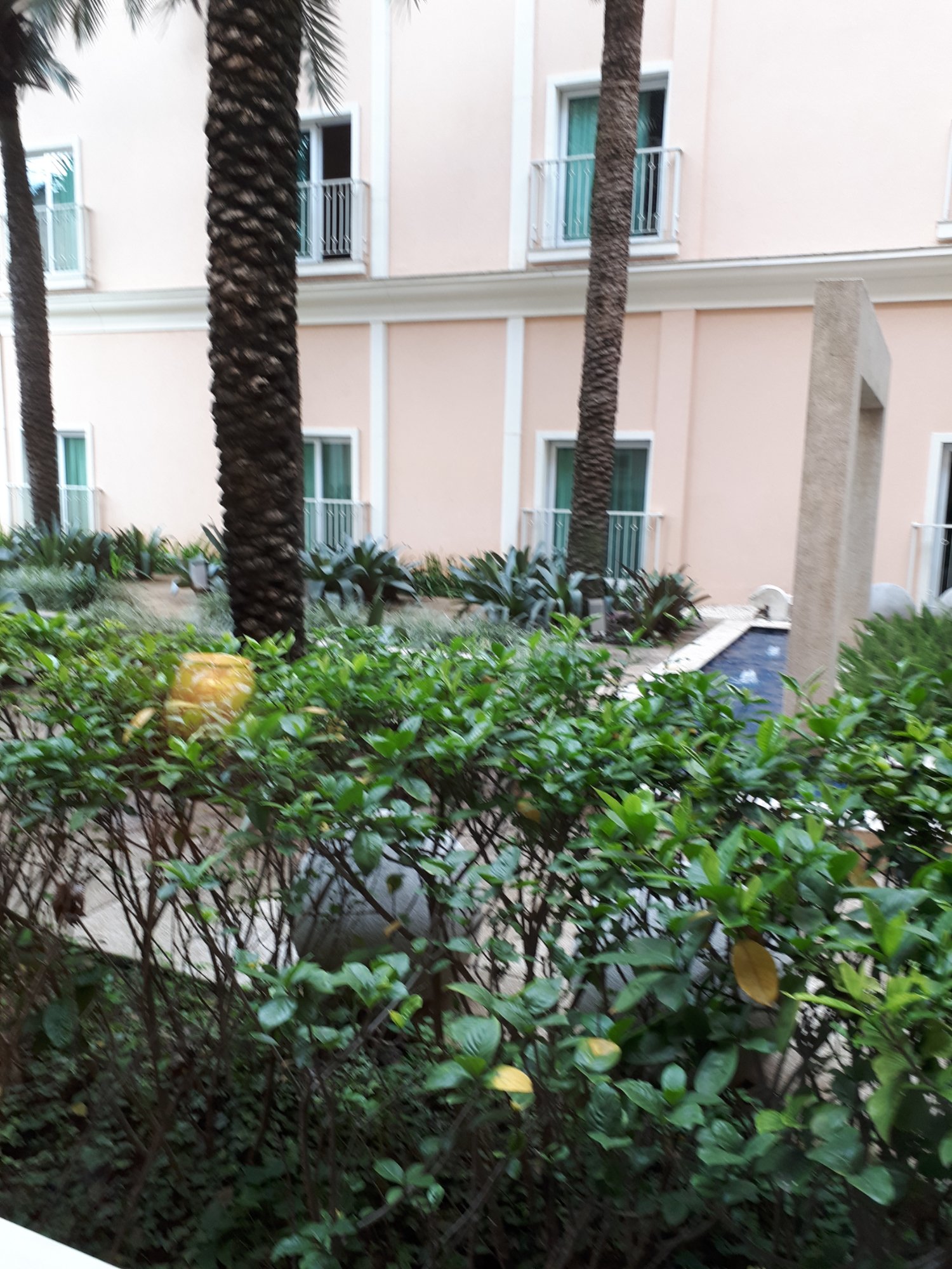Hotel photo 24 of Hotel Royal Palm Resort.