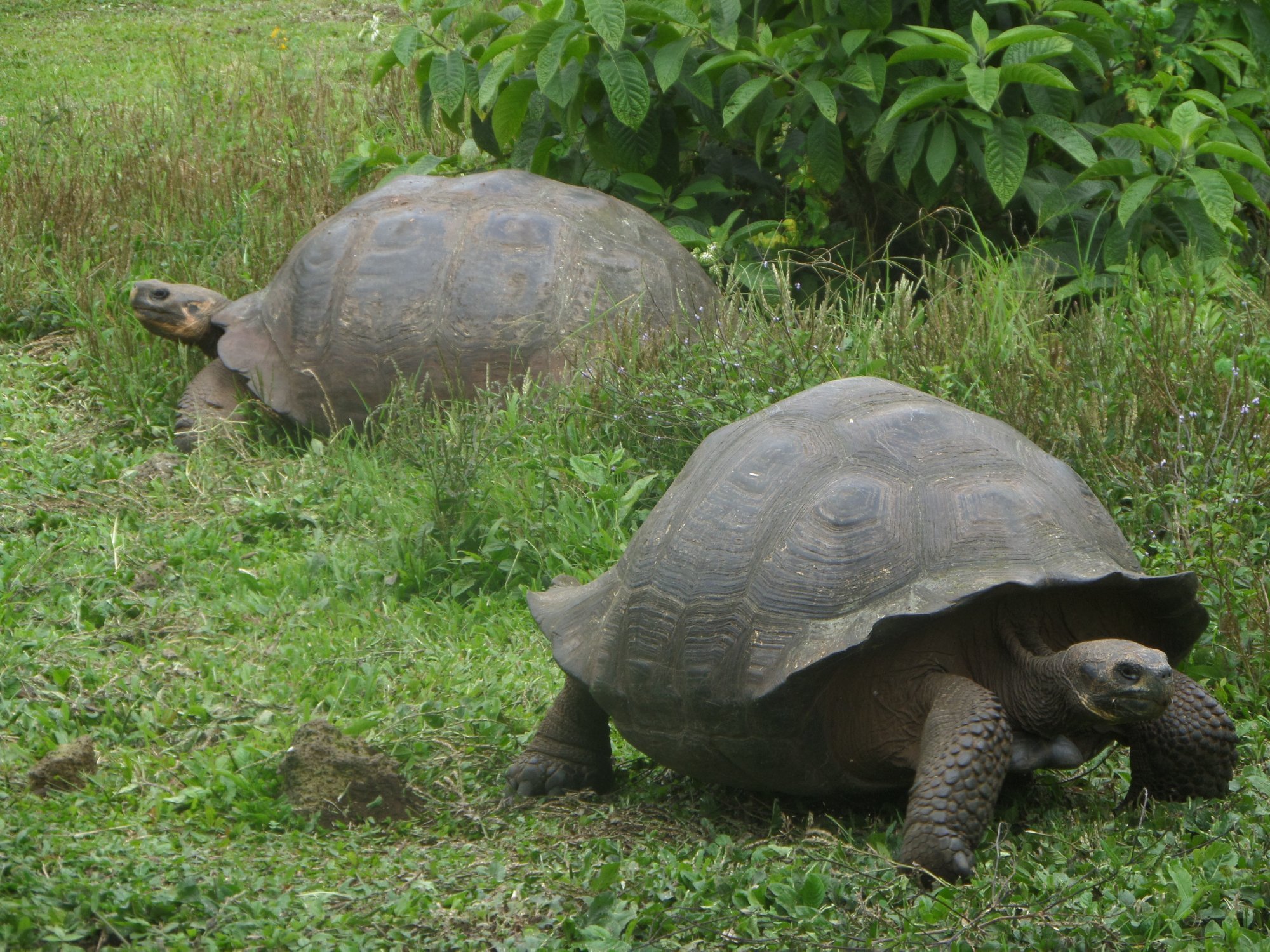 Ecuador Green Travel - All You Need to Know BEFORE You Go (2024)