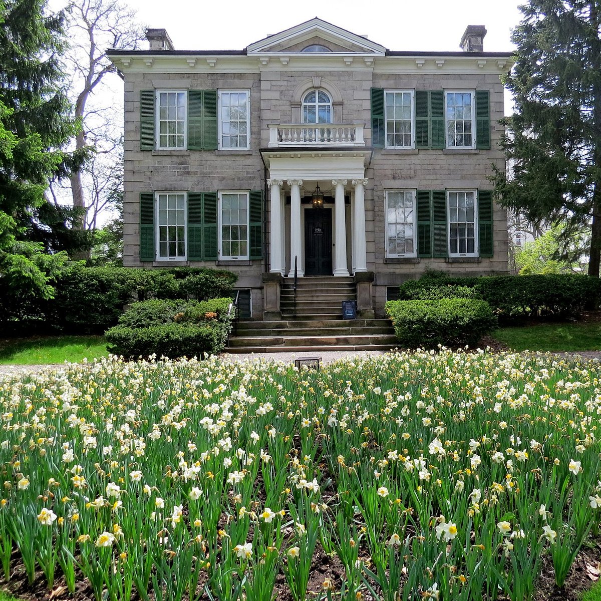 Хэмилтон гарденс. Гамильтон Гарденс -. Hamilton Gardens.