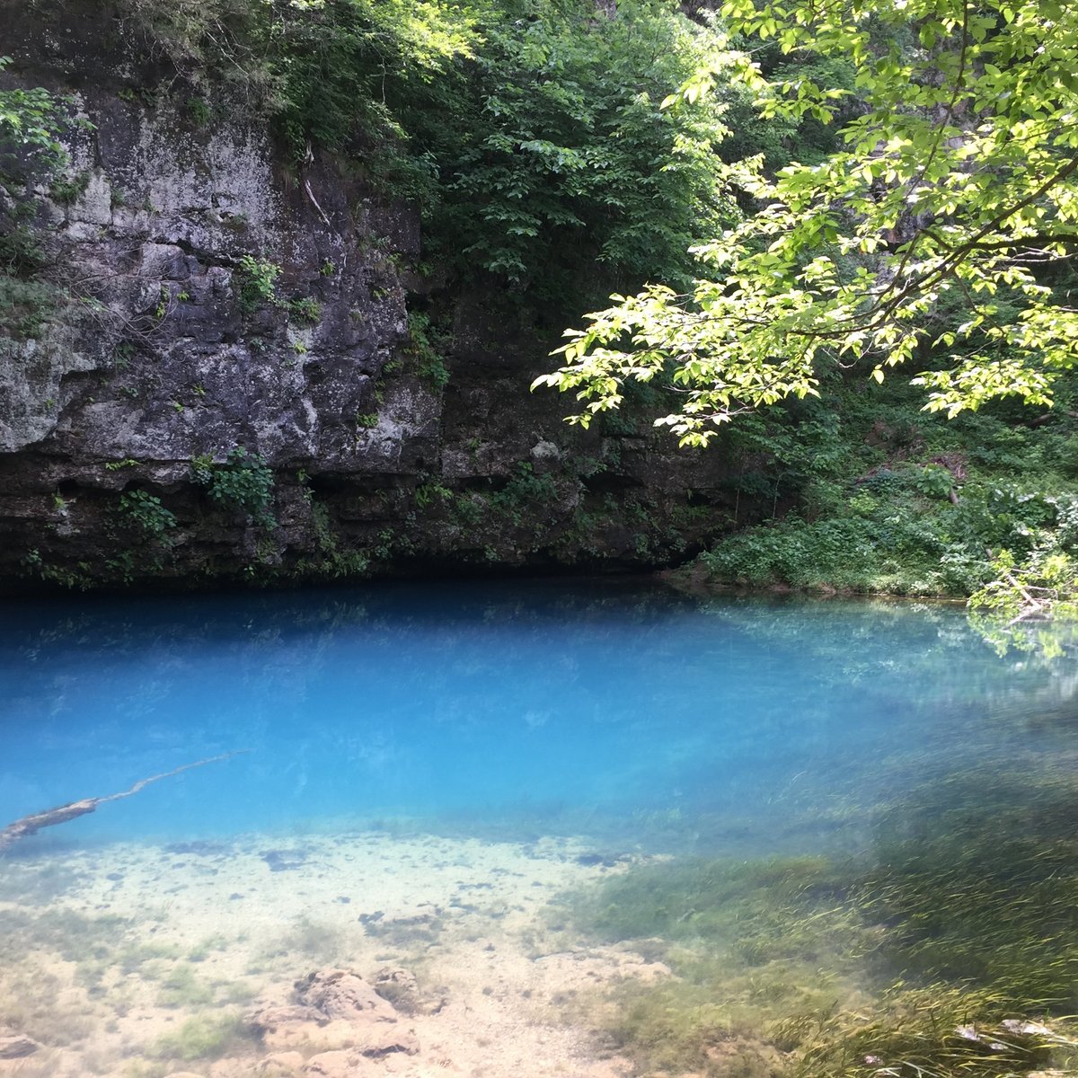 Blue Springs of Saula