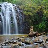 10 National Parks in Atherton Tablelands That You Shouldn't Miss