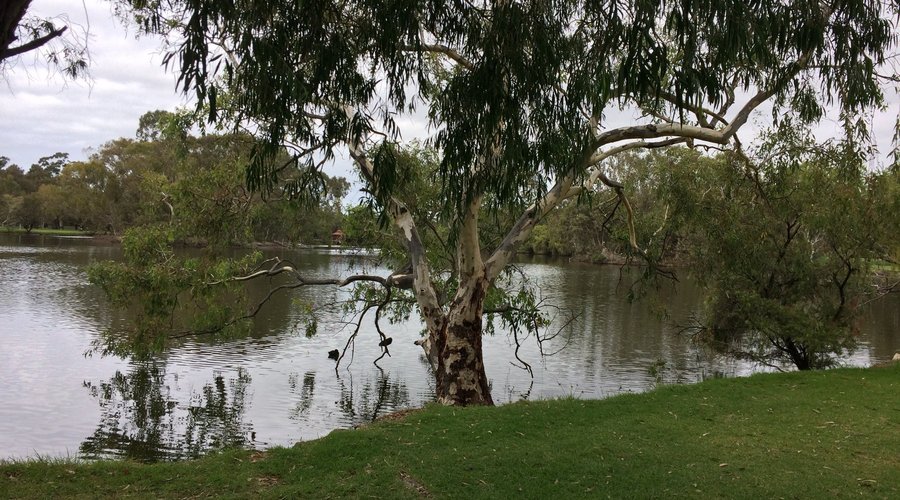 Lake from other side