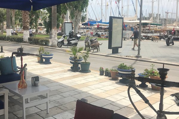 MINI COFFEE SHOP, Bodrum District - Duzalan Cad. No.8 Ortakent - Restaurant  Reviews & Photos - Tripadvisor