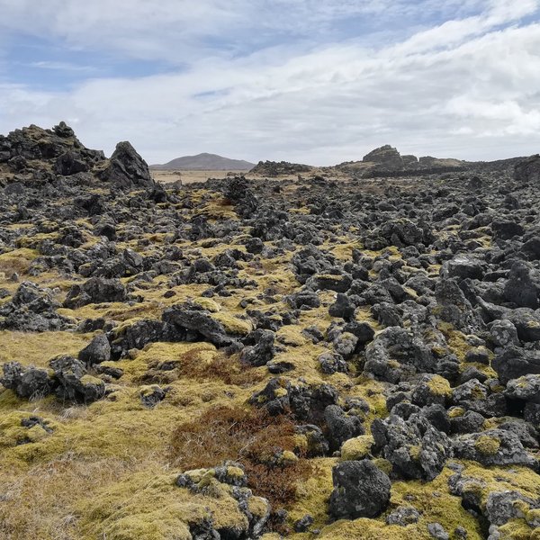 Snaefellsbaer, Iceland 2024: Best Places to Visit - Tripadvisor