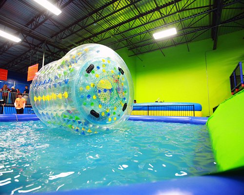 The Best Fun Activities in Houston for Adults 