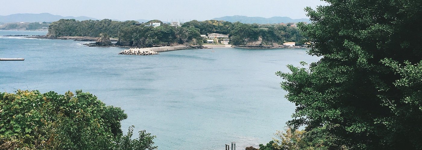 三浦海岸のお魚料理が最高！