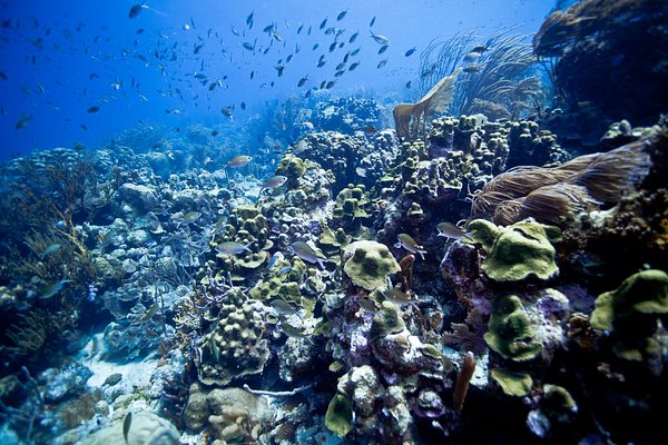 OS MELHORES Aluguel temporada em Isla El Gran Roque 2023 (com