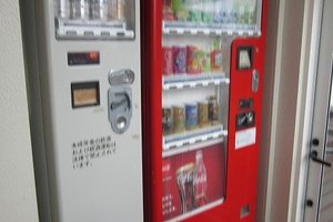 旅行者の写真