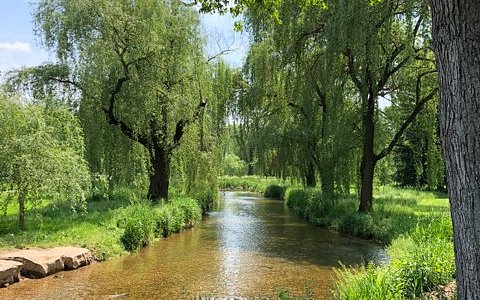 Rose Gardens Allentown Pa: Discover Blooming Beauty