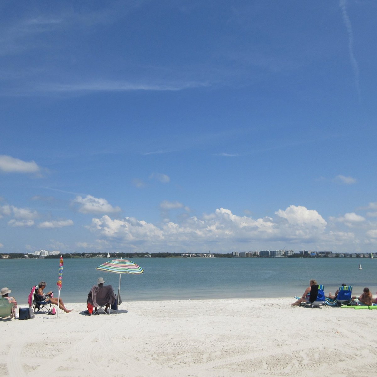 are dogs allowed on sand key beach