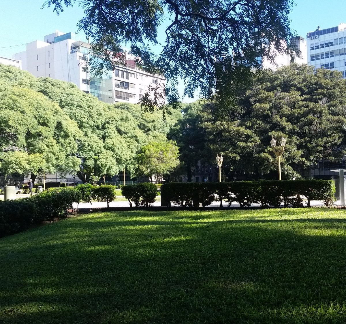 PLAZA LIBERTAD (Buenos Aires): Ce qu'il faut savoir pour votre visite ...