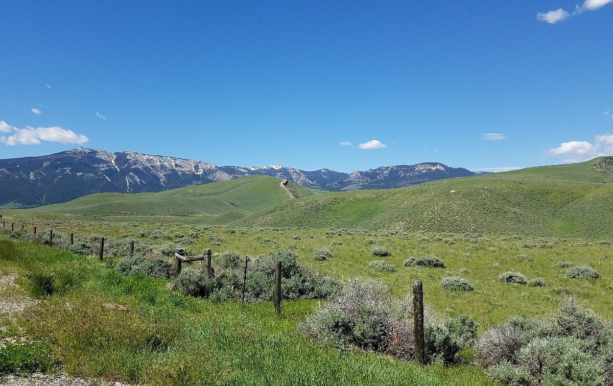 SHOSHONE NATIONAL FOREST - All You Need to Know BEFORE You Go (with Photos)