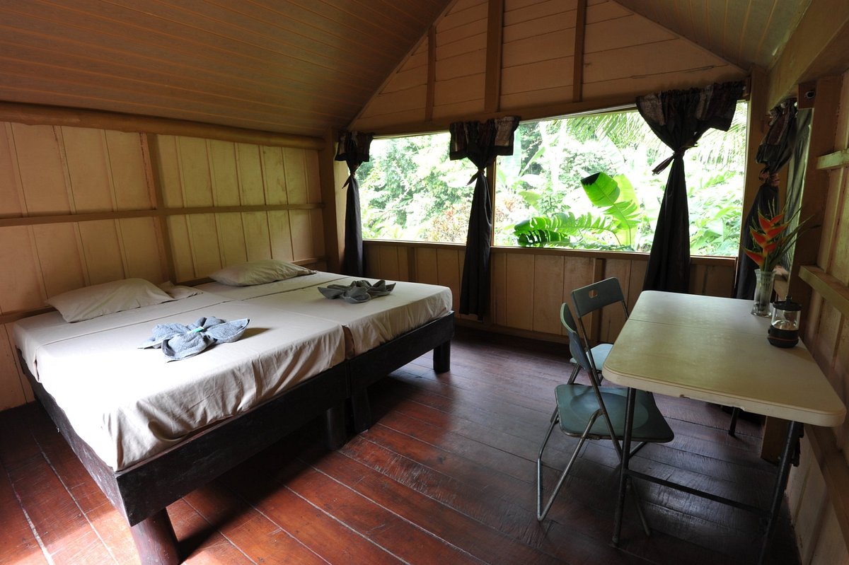 THE JAGUAR'S JUNGLE LODGE, COSTA RICA/DRAKE BAY: 293 fotos