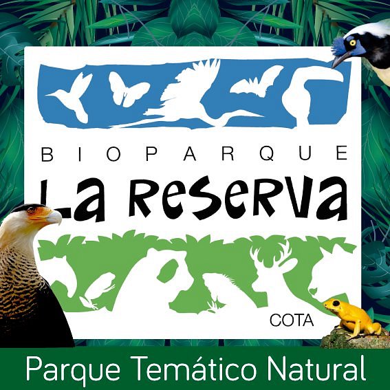 Bioparque La Reserva image