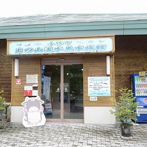 宮崎県で一番人気の動物園 水族館 トリップアドバイザー