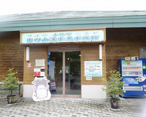 宮崎県で一番人気の動物園 水族館 トリップアドバイザー