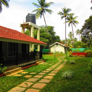 Well maintained garden area