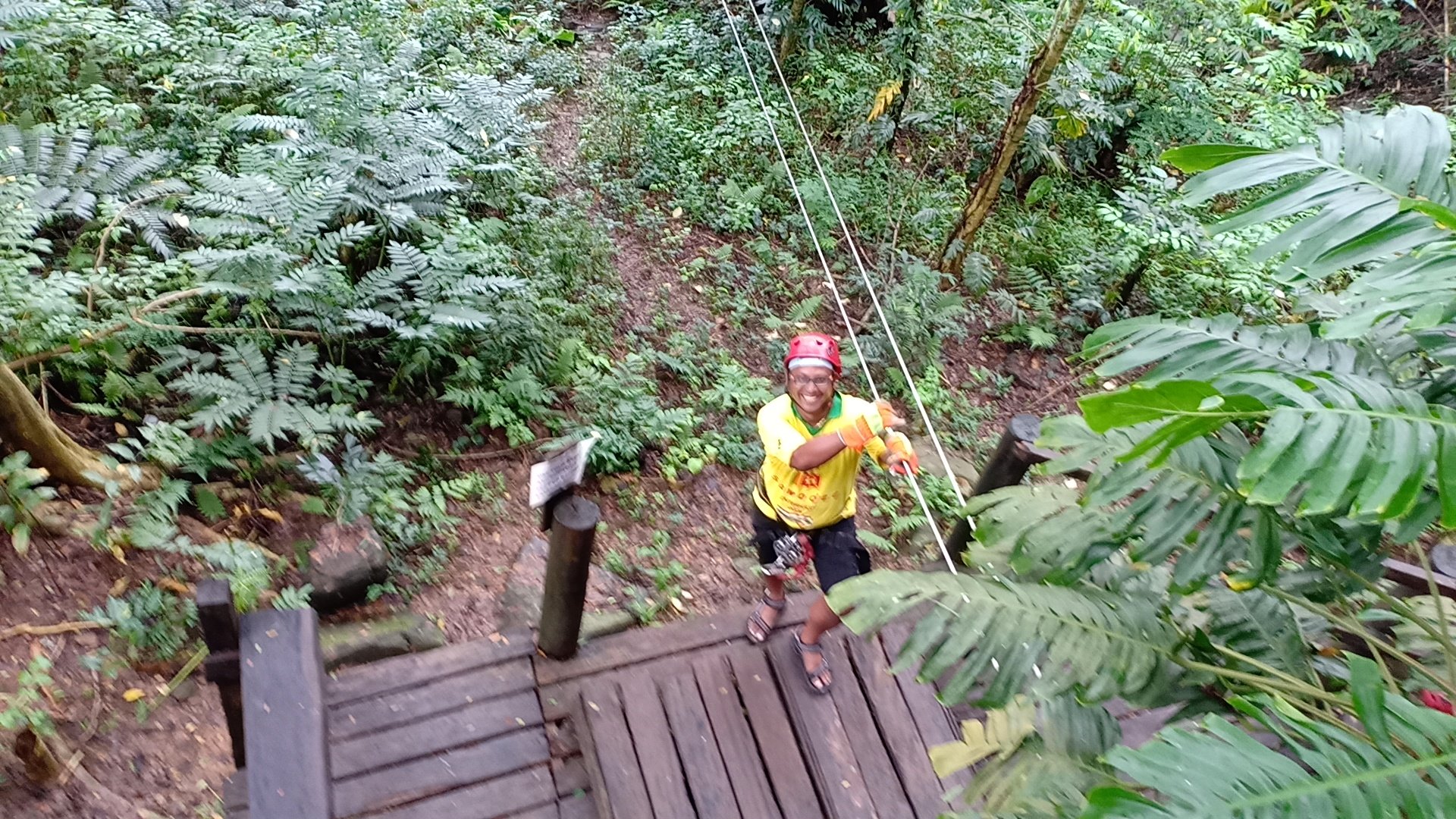 2025年 Sleeping Giant Zipline - 出発前に知っておくべきこと