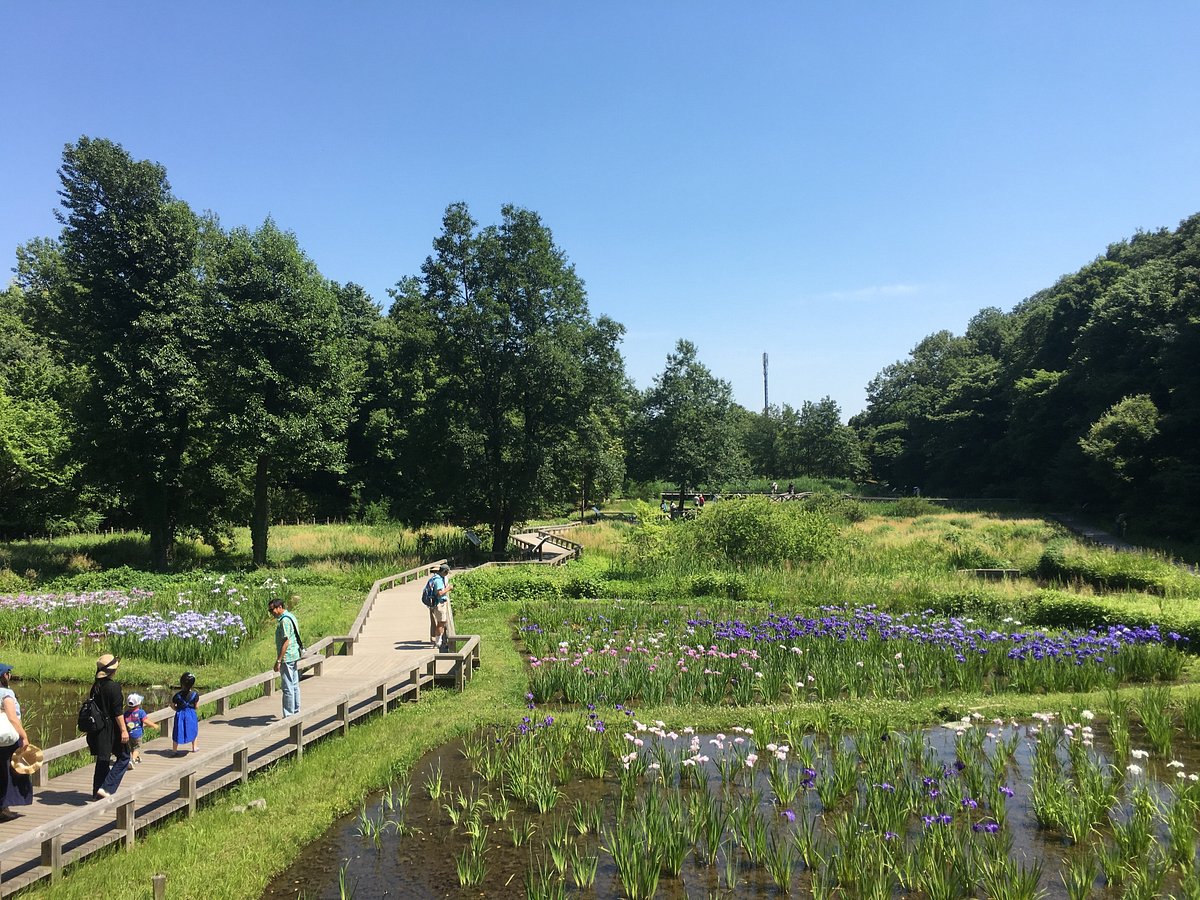 22年 神代水生植物園 行く前に 見どころをチェック トリップアドバイザー