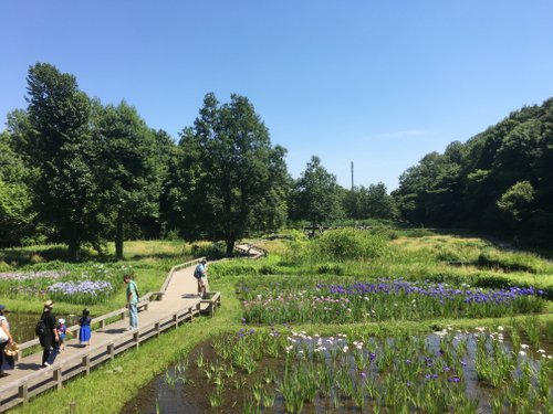 調布市の公園 自然 ベスト10 トリップアドバイザー