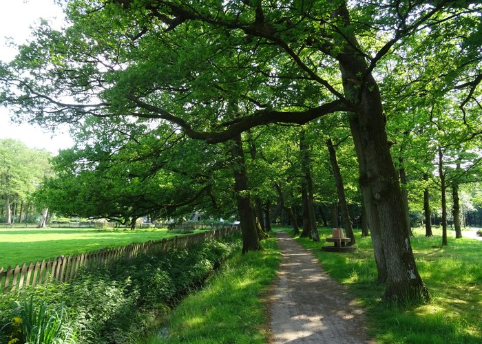 Hertenkamp van Assen uit 1841-1875 in het Asserbos 