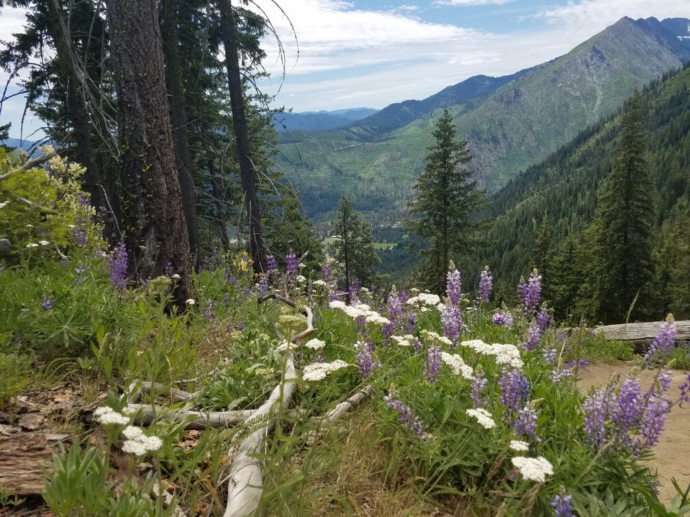 THE 10 BEST Washington Hiking Trails (2024) - Tripadvisor