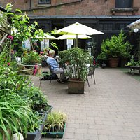 Barking Mad Cafe Entrance
